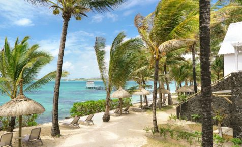 Tropical Attitude