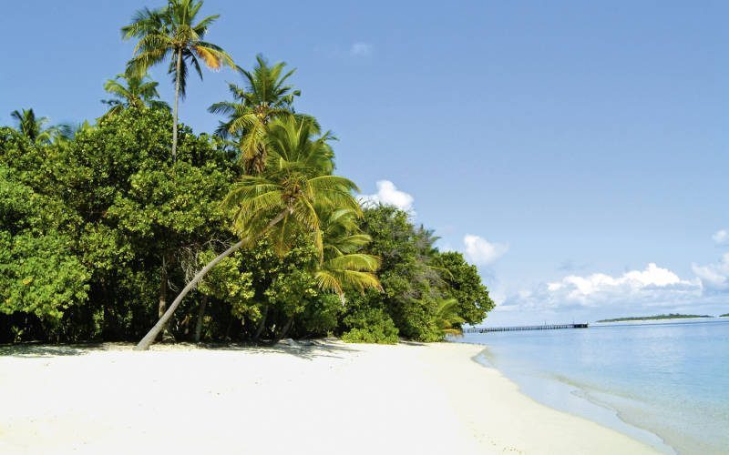 Почивка Малдиви в Biyadhoo Island palms
