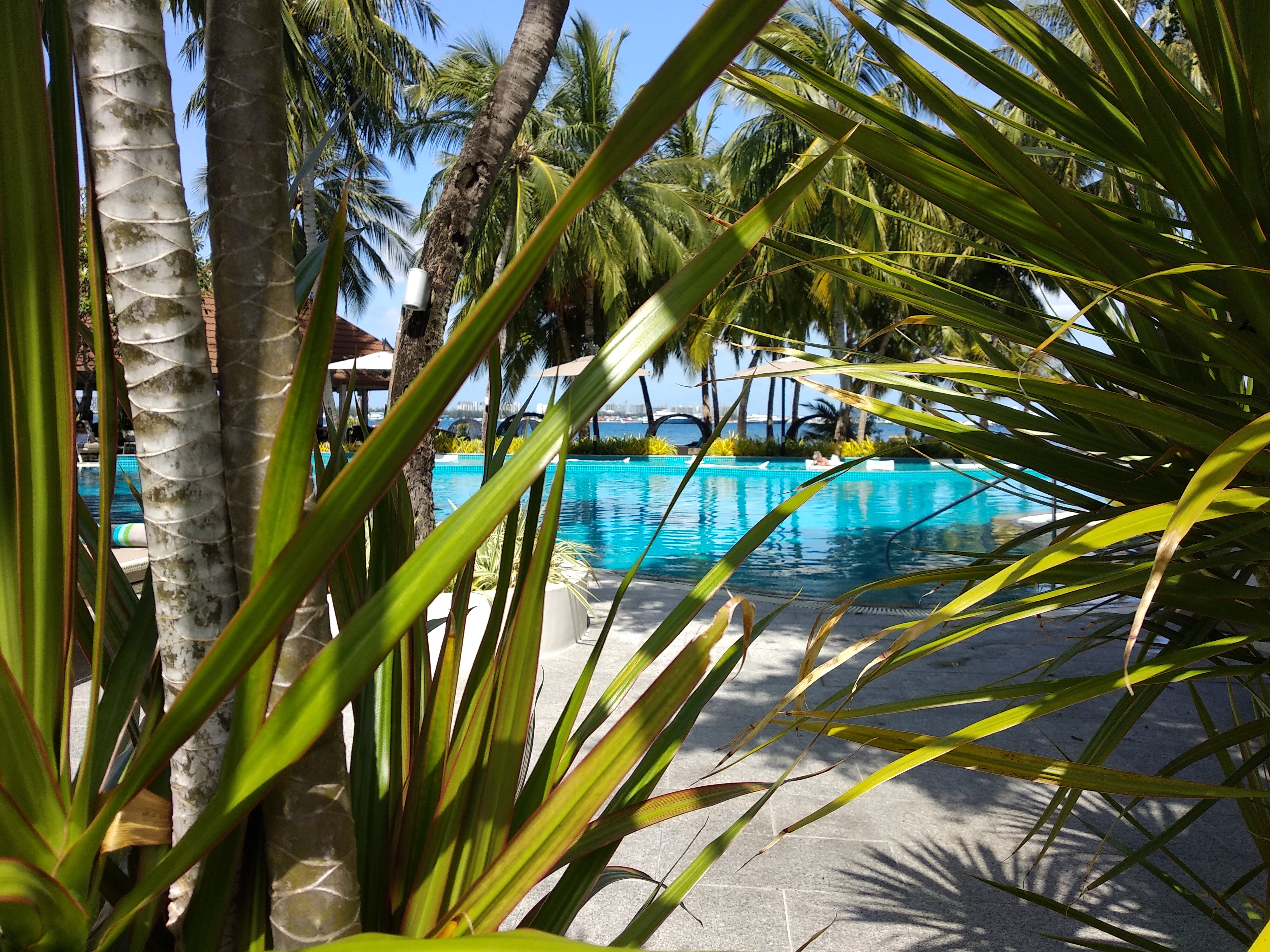 Почивки Сейшели 2025 - Travelisimo