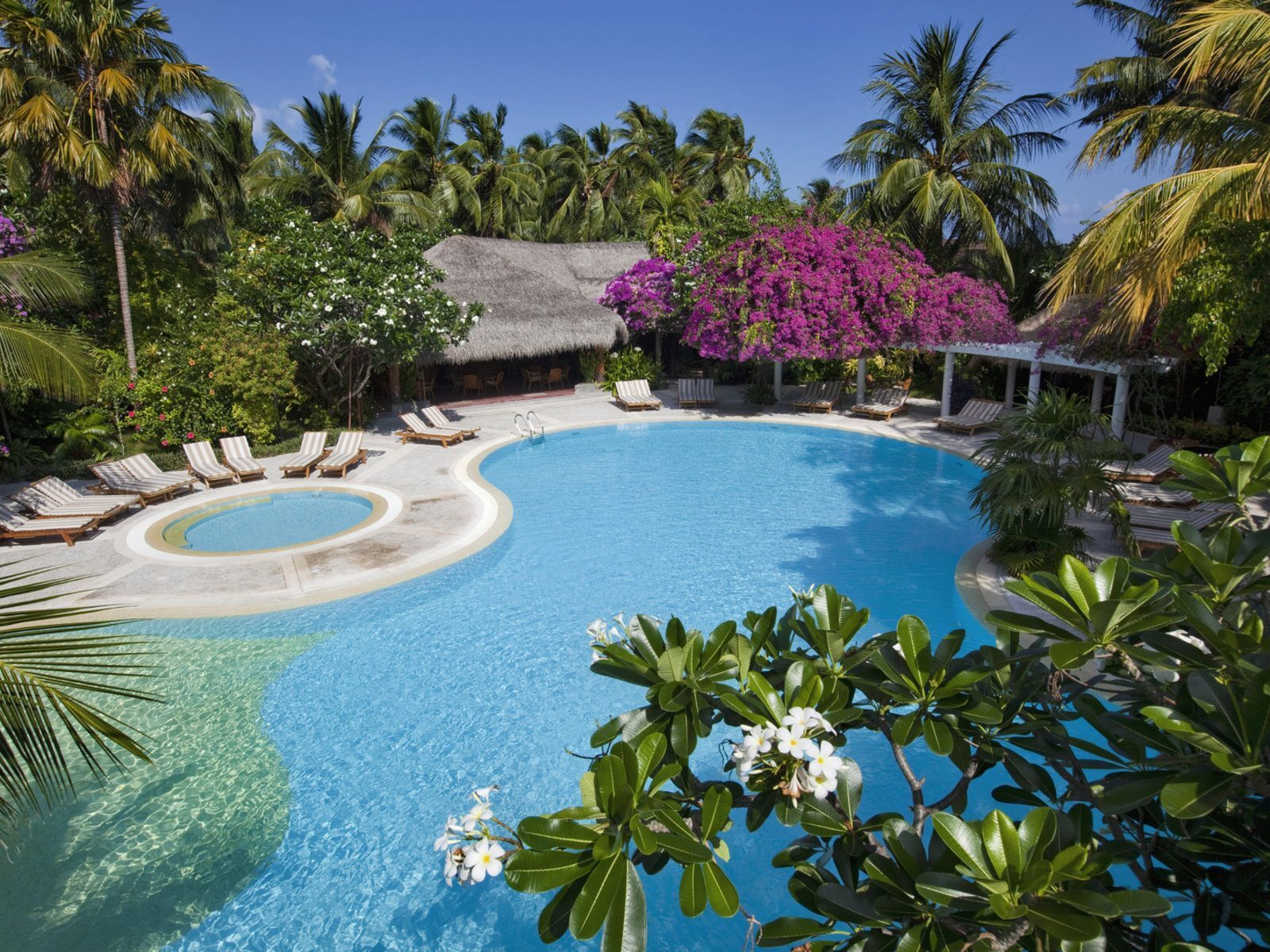 Kuramathi Resort Maldivi бар на басейна