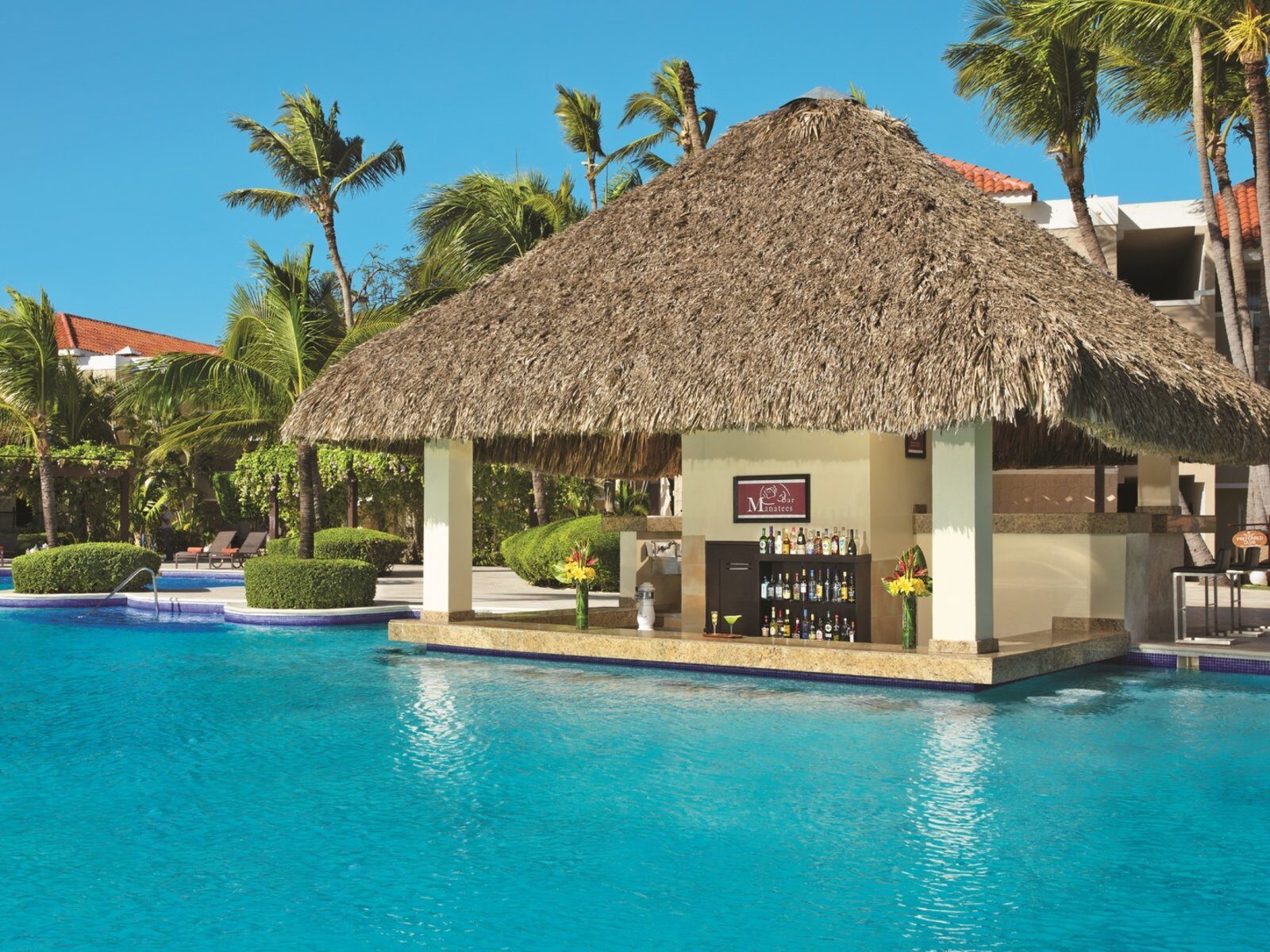 Почивка в Доминикана в Dreams Palm Beach Punta Cana swim up bar