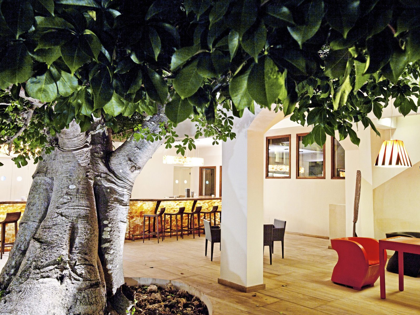 Почивка в Занзибар в Essque Zalu Zanzibar baobab bar