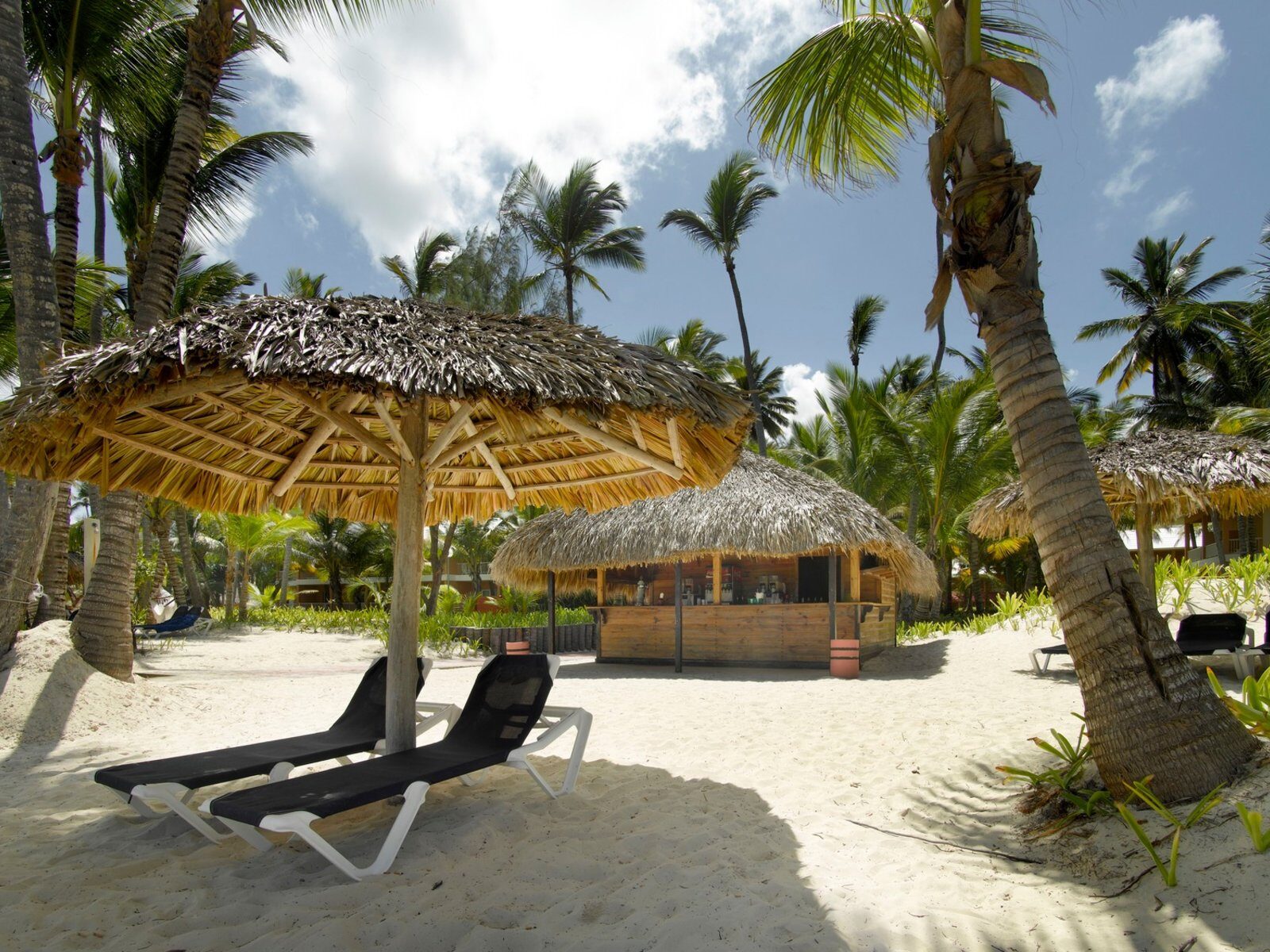 Почивка Доминикана в Grand Palladium Palace Resort Spa and Casino chillo