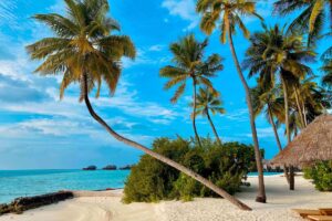 Малдивите: Почивка за любителите на фотографията