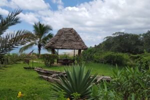 Занзибар –  перлата на Африканското крайбрежие