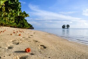 Екзотичният лукс на незабравимия остров Праслин