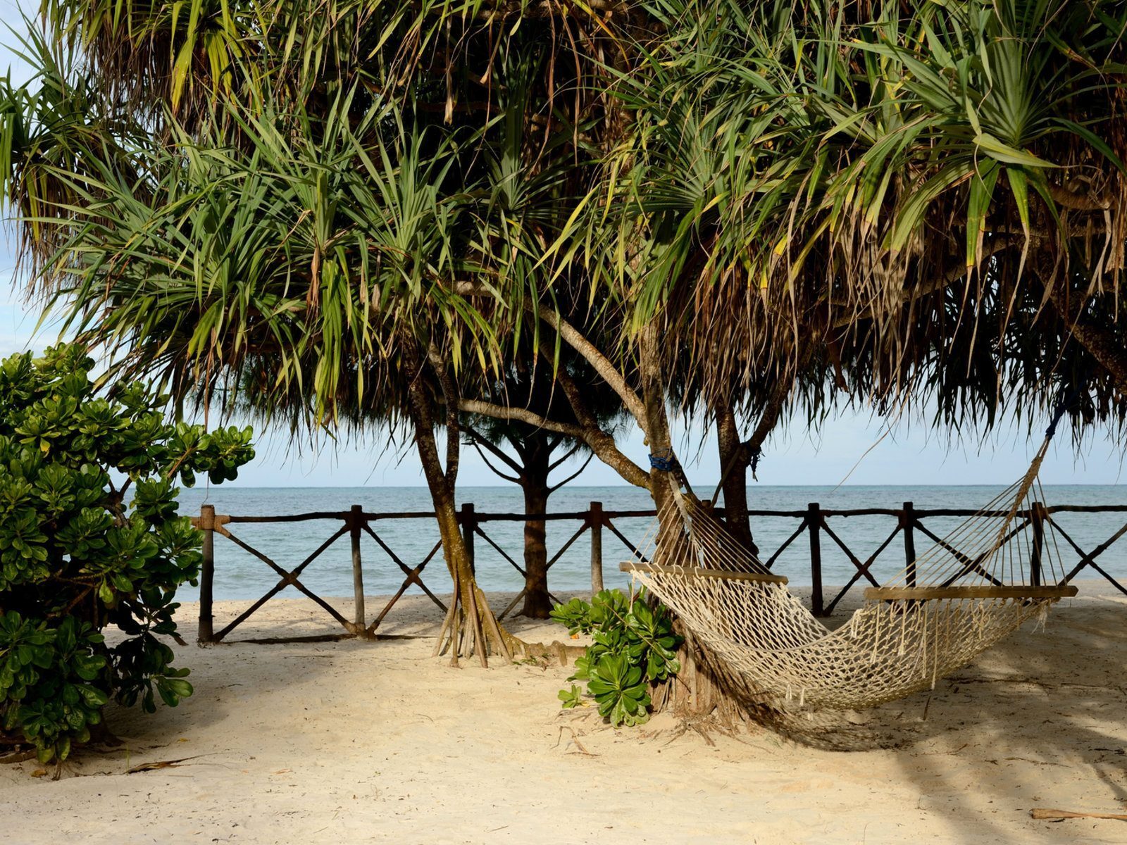 Почивка Занзибар в Ocean Paradise Resort and Spa плаж 4