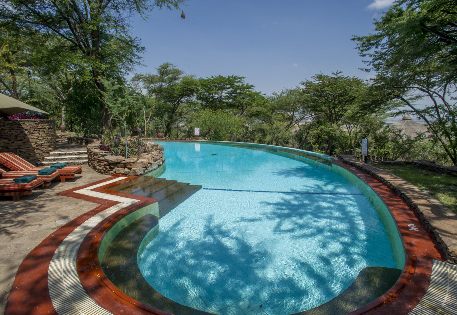 Сафари в Serengeti Serena Lodge
